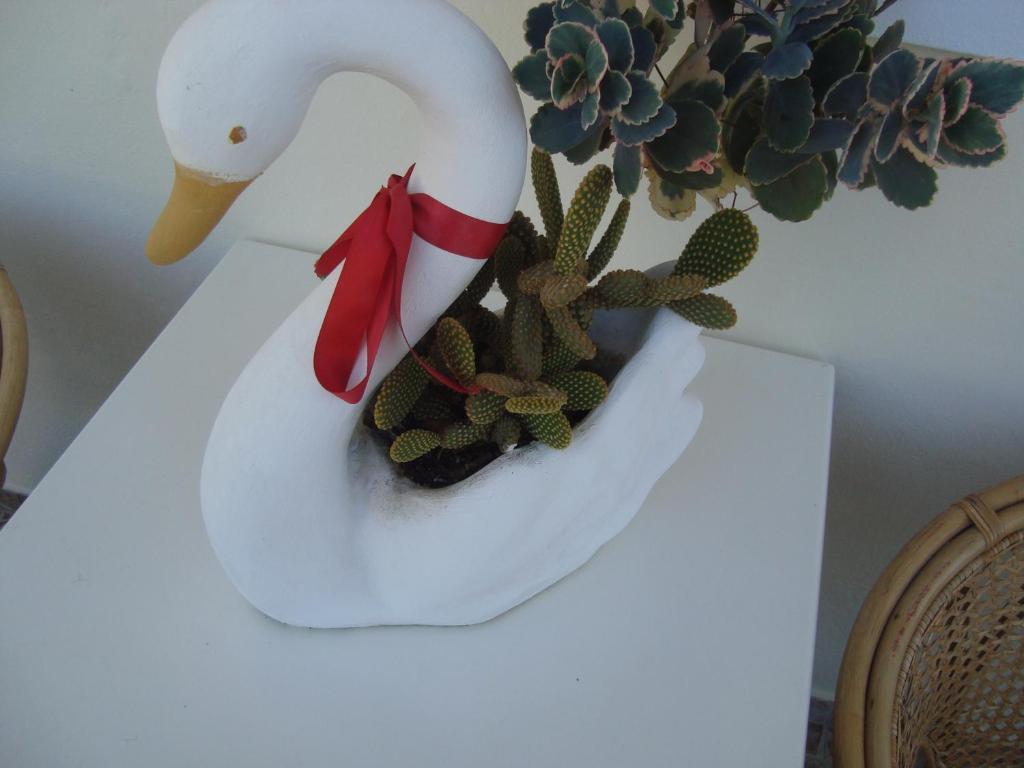 Olga Appartement *