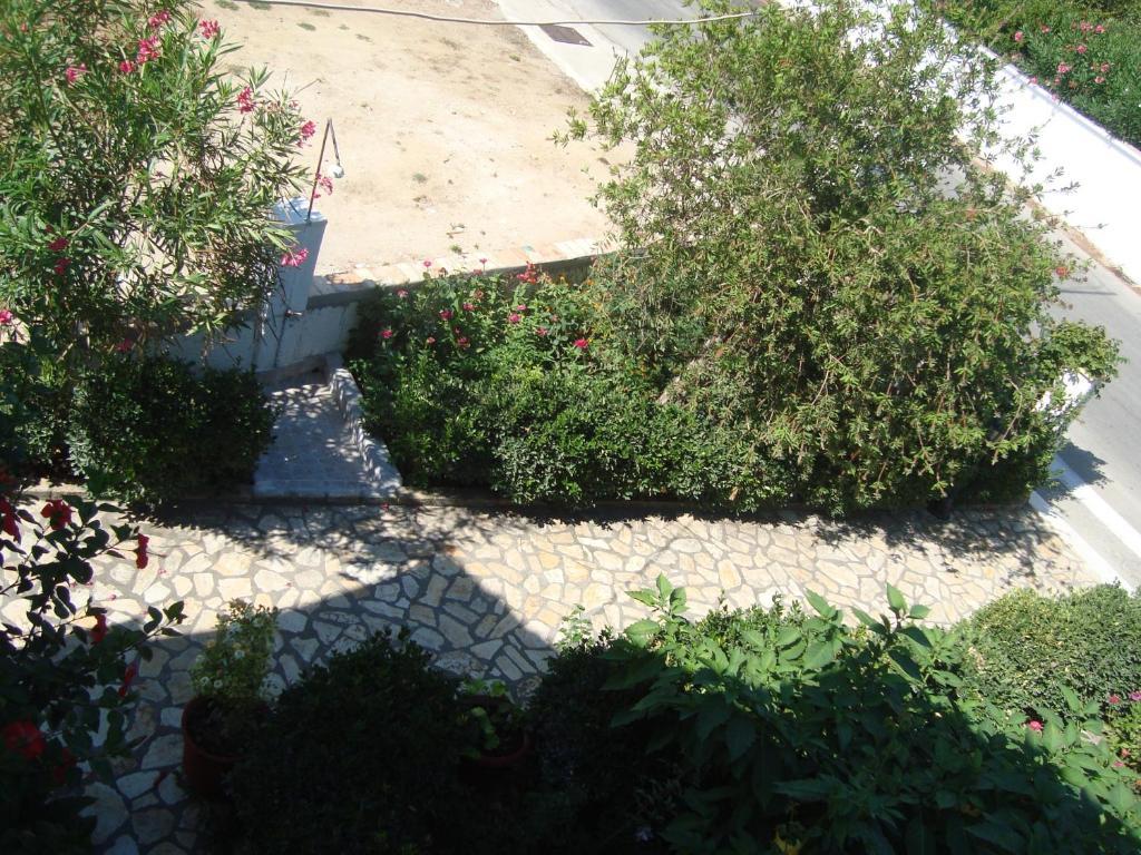 Olga Apartamento Agios Georgios (Corfu)