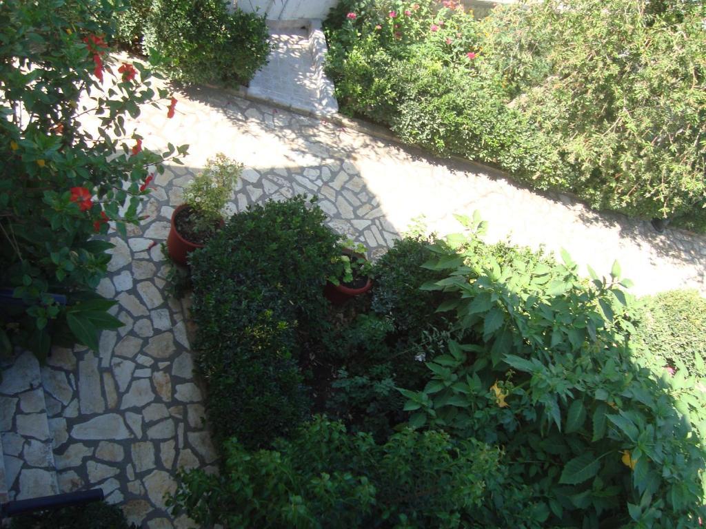 Olga Agios Georgios (Corfu)